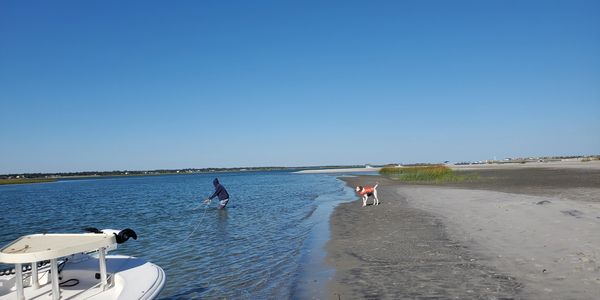 Blue Heron Charters | Eco Tours | Boat Tours | Topsail Island | Sneads Ferry NC | North Topsail Beach NC | Surf City NC | Topsail Beach NC | Holly Ridge NC | Topsail Coast Advertiser | Onslow Advertiser